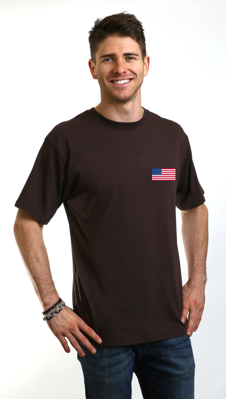 American Flag Men's Bamboo Viscose/Organic Cotton Short Sleeve Graphic T-Shirt